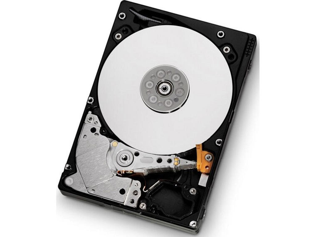 Western Digital Endurastar J4K320 250GB harddisk 4200 rpm 8 MB 2.5" SATA