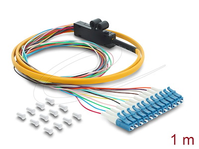 DeLOCK 91050 InfiniBand og fiberoptisk kabel 1 m 12x LC Pigtail Orange