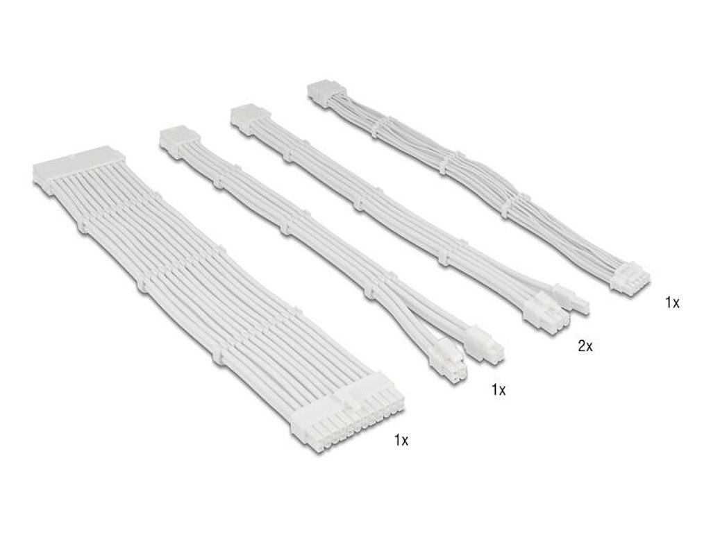 DeLOCK 84542 intern strømkabel 0,3 m