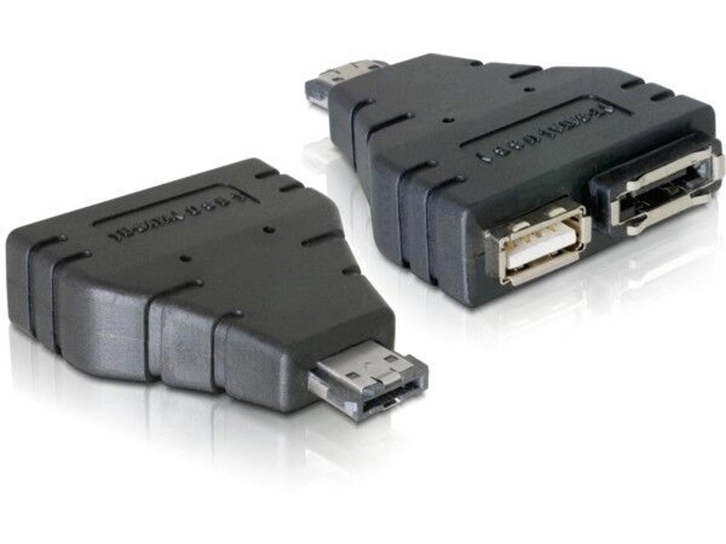 DeLOCK Adapter Power-over-eSATA > 1x eSATA/1x USB 1xeSATA, 1xUSB Sort