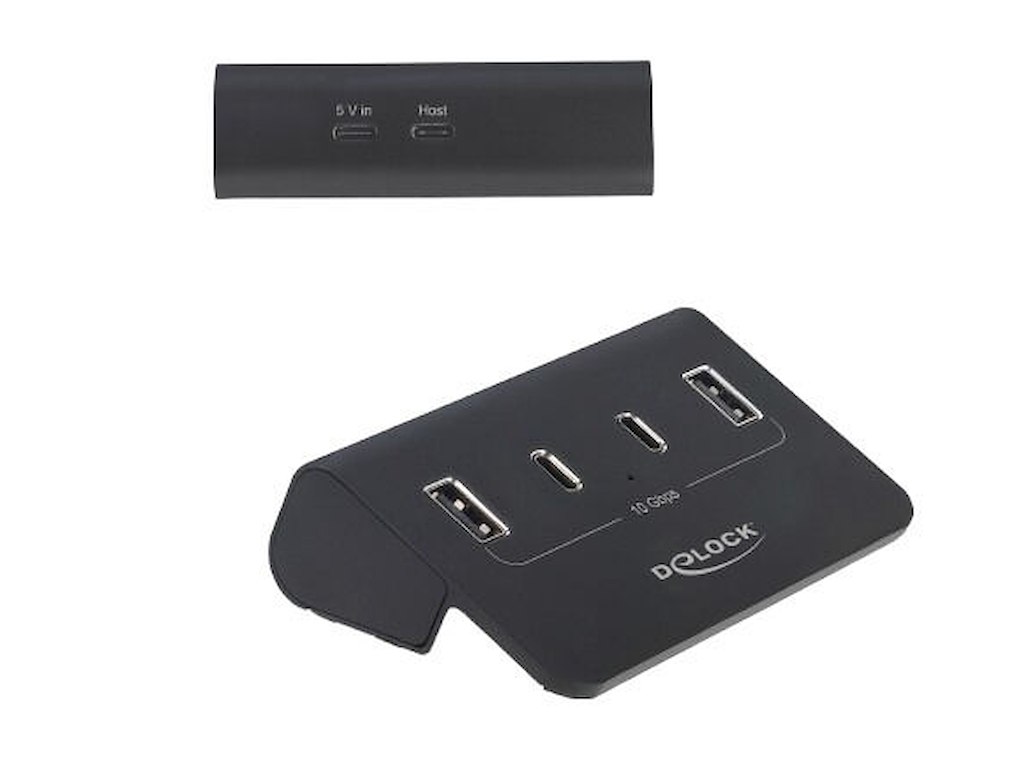 DeLOCK 64259 interface hub USB Type-C 10000 Mbit/s Sort