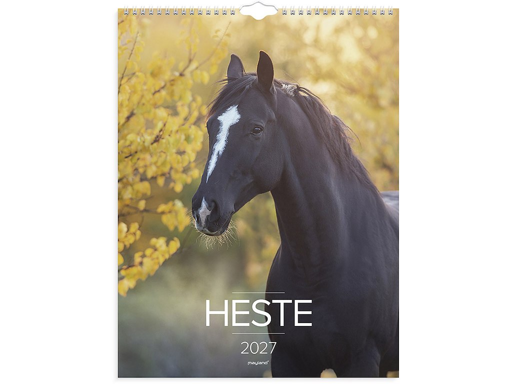 Vægkalender, 2027, Heste, 1 måned pr. opslag, Mayland