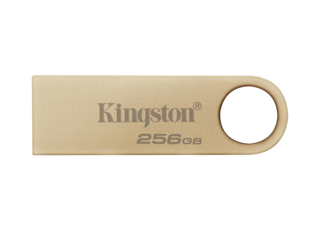 Kingston Technology DataTraveler 256 GB 220 MB/s Metal USB 3.2 Gen 1 SE9 G3