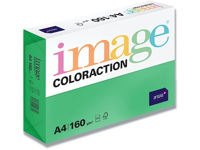 Kopipapir, Dublin Deep Green, Farvenr DG47, A4, Image ColorAction 160 g/m² 