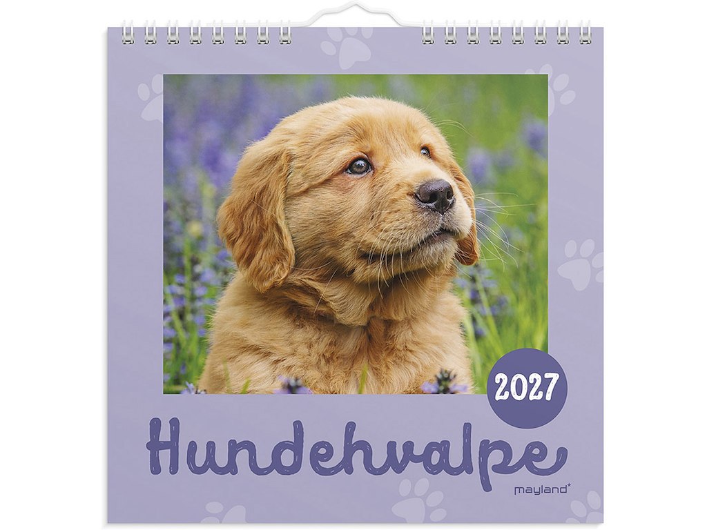 Vægkalender, 2027, Mini, Hundehvalpe, 1 måned pr. opslag, Mayland