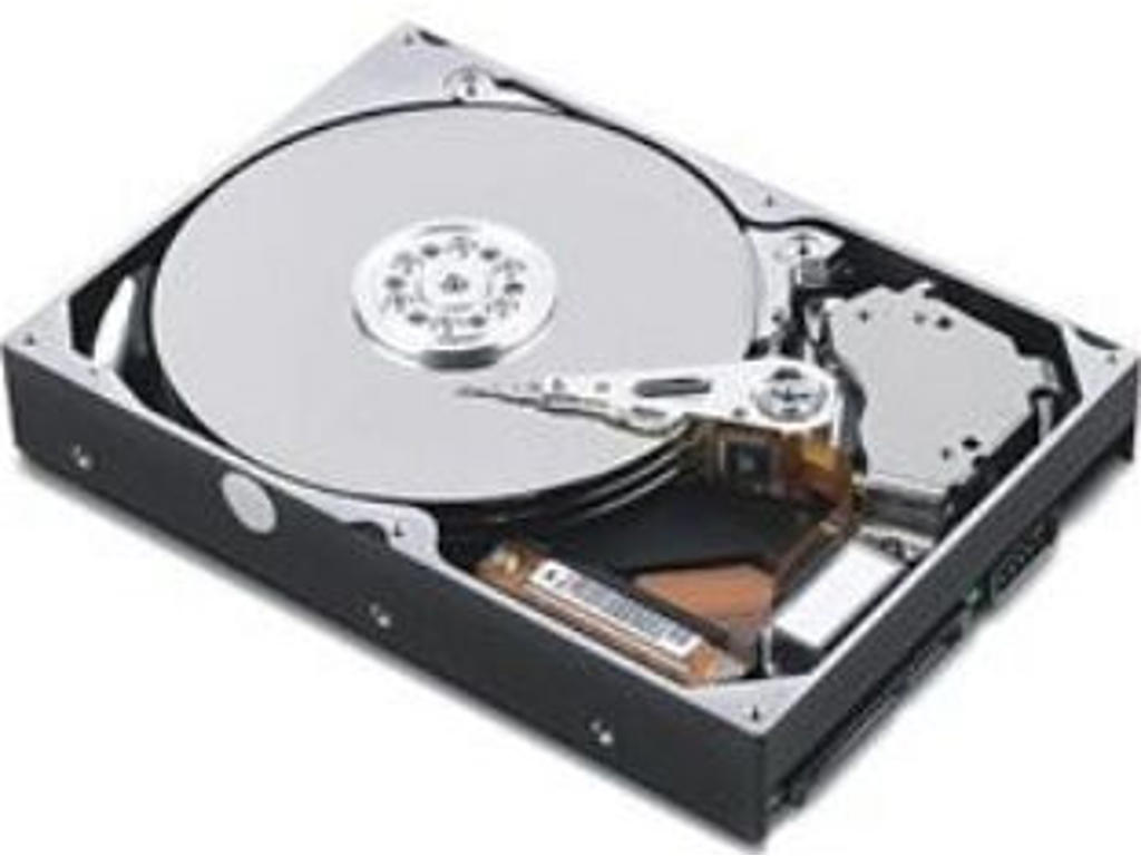 Lenovo 45K0681 harddisk 750 GB 5400 rpm Serial ATA III