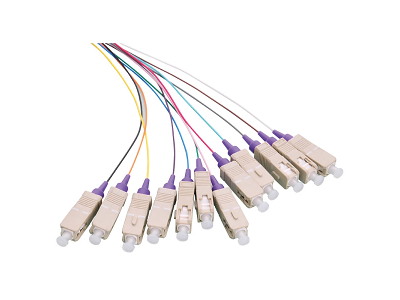 LogiLink FL4SC02 InfiniBand og fiberoptisk kabel 2 m 12x SC Flerfarvet