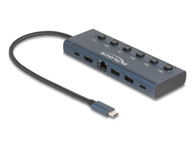 DeLOCK 92000 interface hub USB Type-C 5000 Mbit/s Blå
