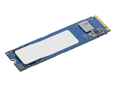 Lenovo 4XB1T87550 intern solid state drev 256 GB M.2 PCI Express 4.0 NVMe