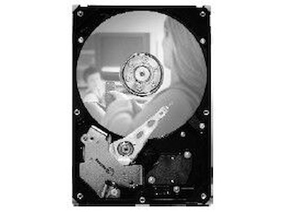 Seagate DB35 Series DB35 7200.3 250GB SATA 3Gb/s harddisk 7200 rpm 8 MB 3.5" Serial ATA II