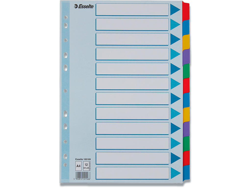 Faneblade, A4, 12-delt, Flerfarvet, Esselte Mylar 