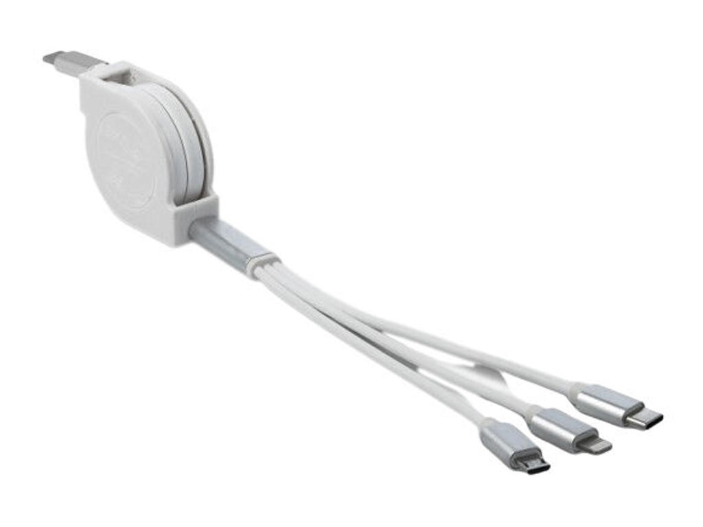 DeLOCK 85844 USB-kabel USB 2.0 0,98 m USB C USB C/Micro-USB B/Lightning Sølv, Hvid