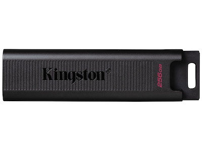 Kingston Technology DataTraveler 256GB Max 1000R/900W USB 3.2 Gen 2