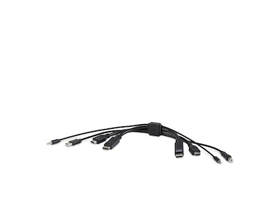 Belkin F1DN2CC-HHPP1t KVM-kabel Sort 0,3 m