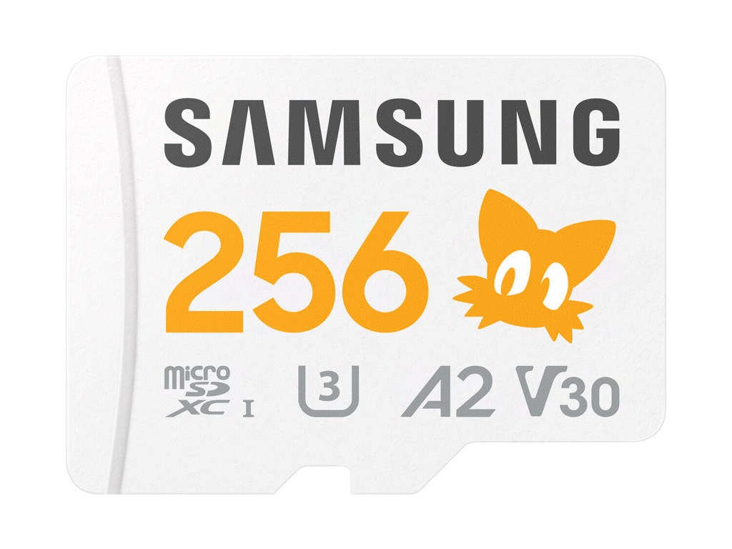 Samsung MB-MD256S 256 GB MicroSDXC UHS-I Klasse 10