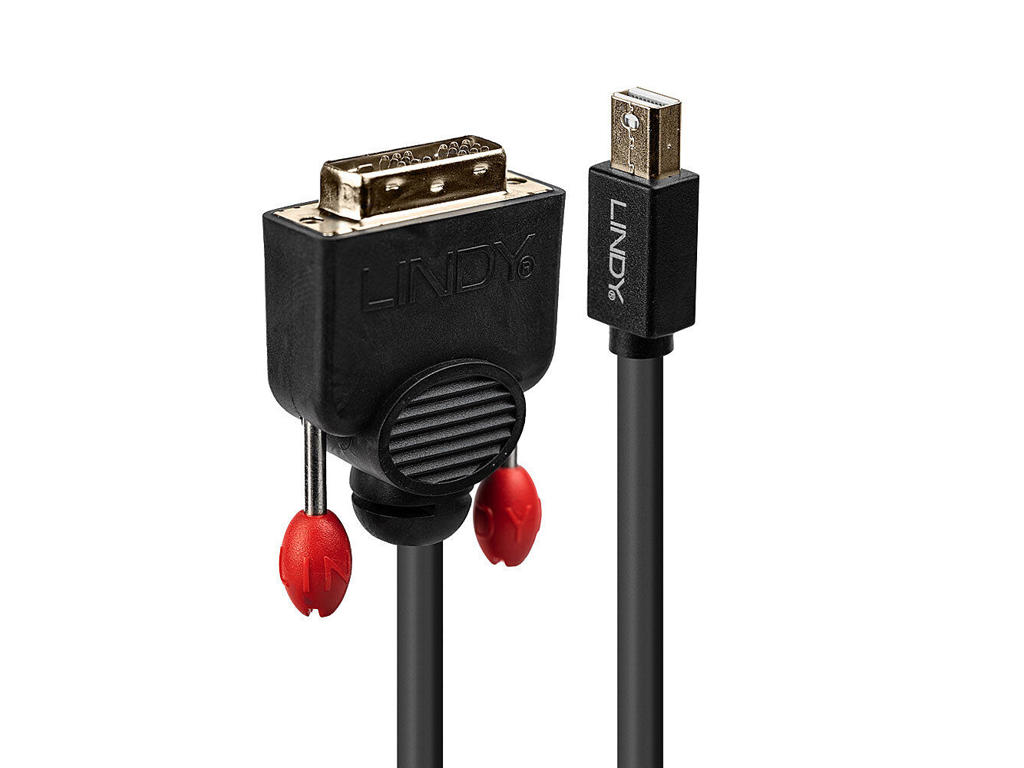 Lindy 41953 videokabel adapter 3 m Mini DisplayPort DVI-D Sort