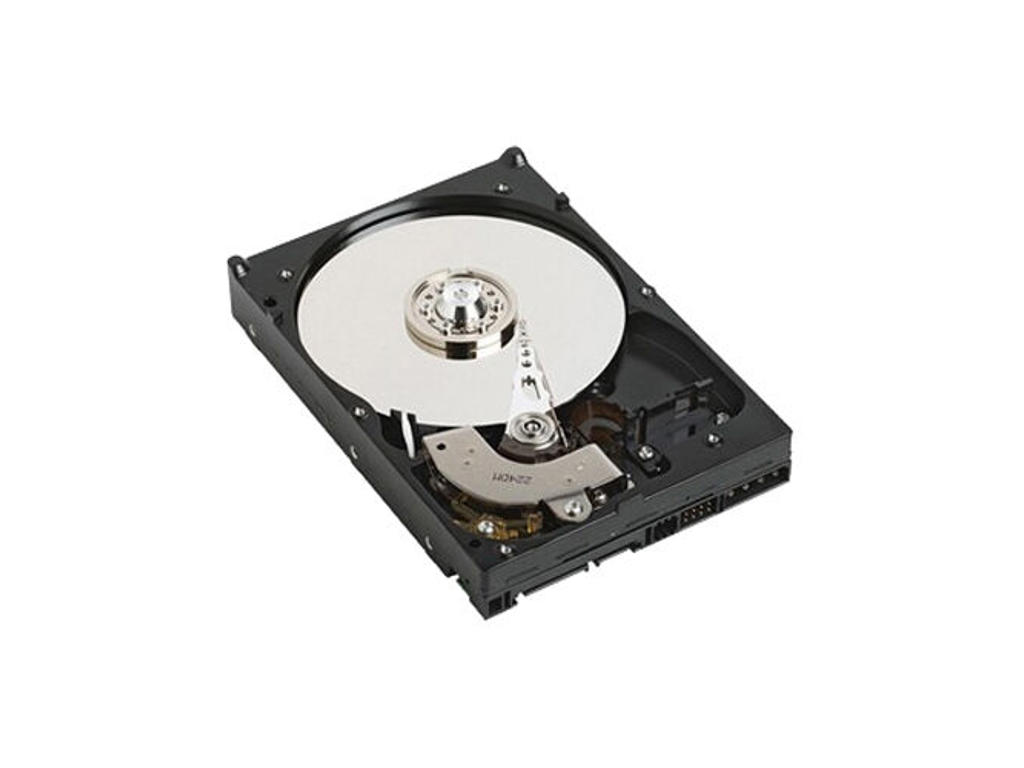 DELL 1TB SATA 7200rpm harddisk 3.5" Serial ATA II