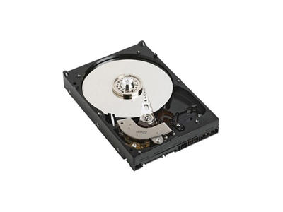 DELL 1TB SATA 7200rpm harddisk 3.5" Serial ATA II