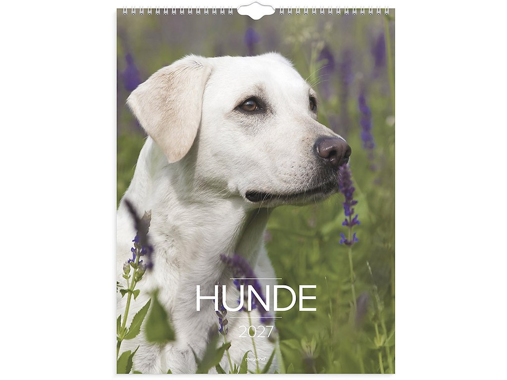 Vægkalender, 2027, Hunde, 1 måned pr. opslag, Mayland