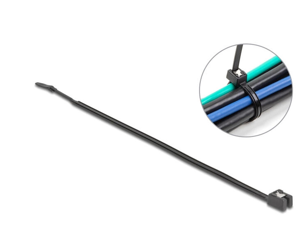 DeLOCK 19469 kabelsamler Parallel kabelindføring Plast Sort 50 stk