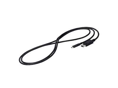 EIZO CP200-BK DisplayPort kabel 2 m USB Type-C Sort