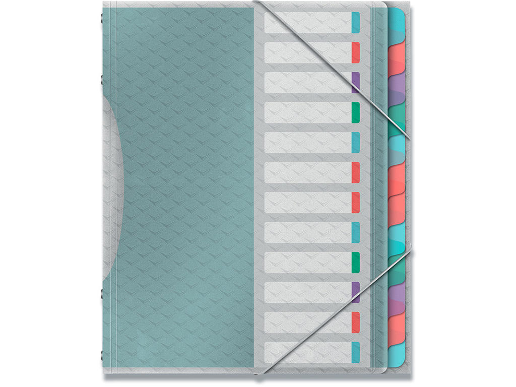 Sorteringsmappe, 12 faner, Flerfarvet, 2 elastikker, Esselte Colour'Breeze 