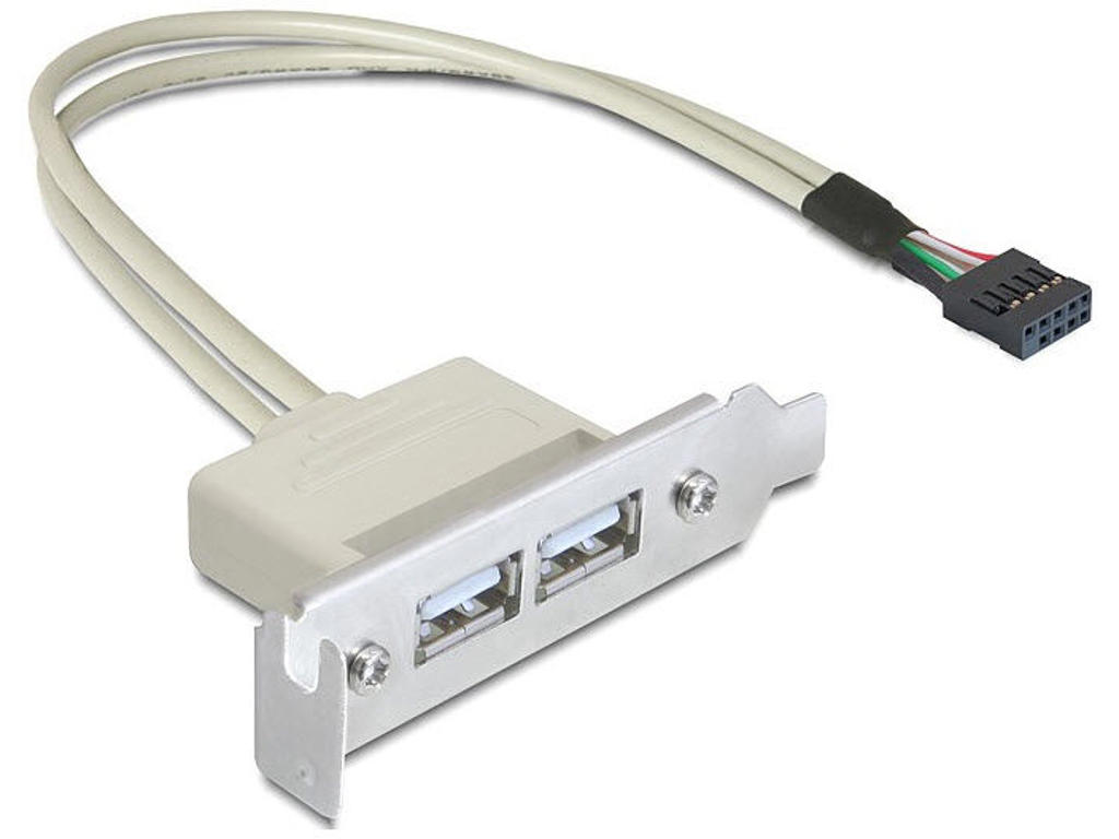 DeLOCK 0.5m Slotblech USB 2.0