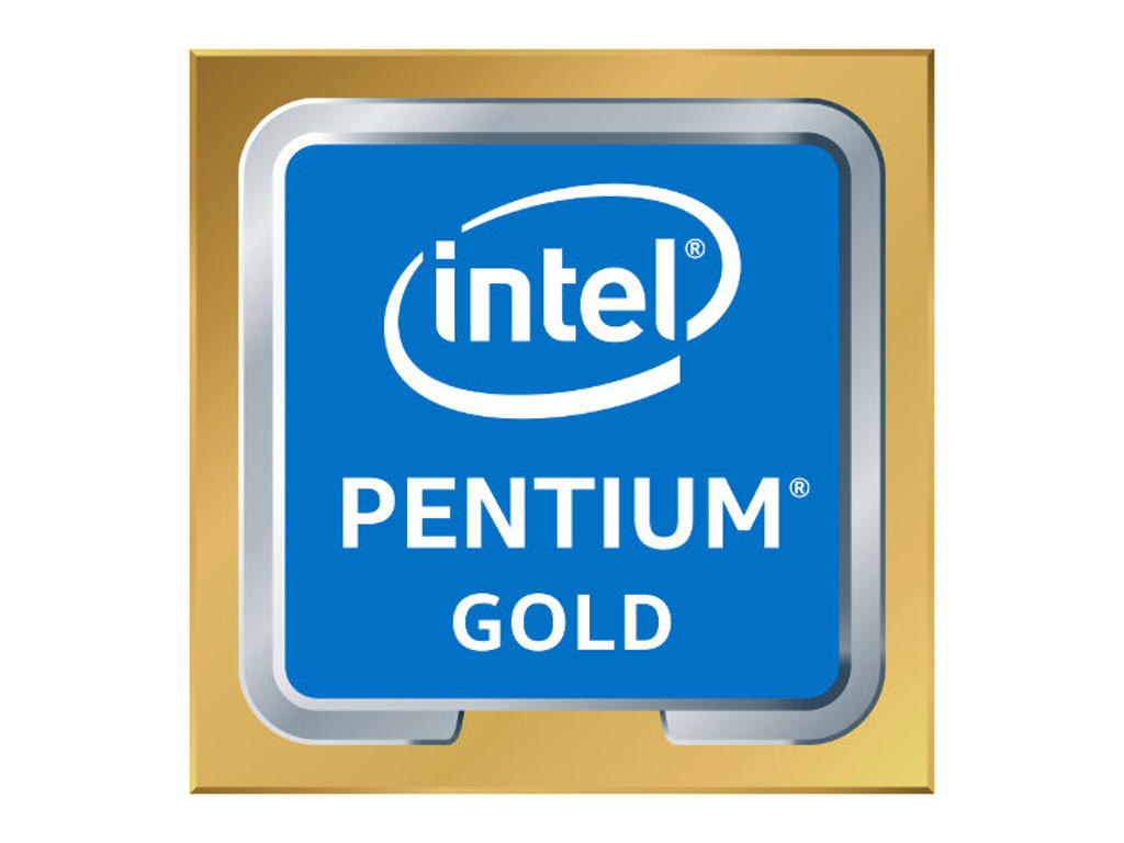 Intel Pentium Gold G6505T processor 3,6 GHz 4 MB Smart cache Bakke