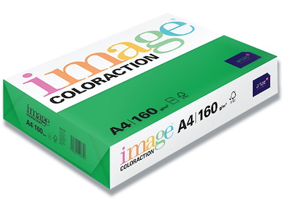 Kopipapir, Dublin Deep Green, Farvenr DG47, A4, Image ColorAction 160 g/m² 