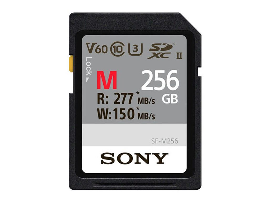 Sony SF-M256 256 GB SD UHS-II Klasse 10