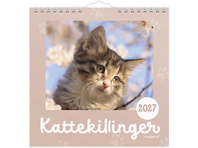 Vægkalender, 2027, Mini, Kattekillinger, 1 måned pr. opslag, Mayland
