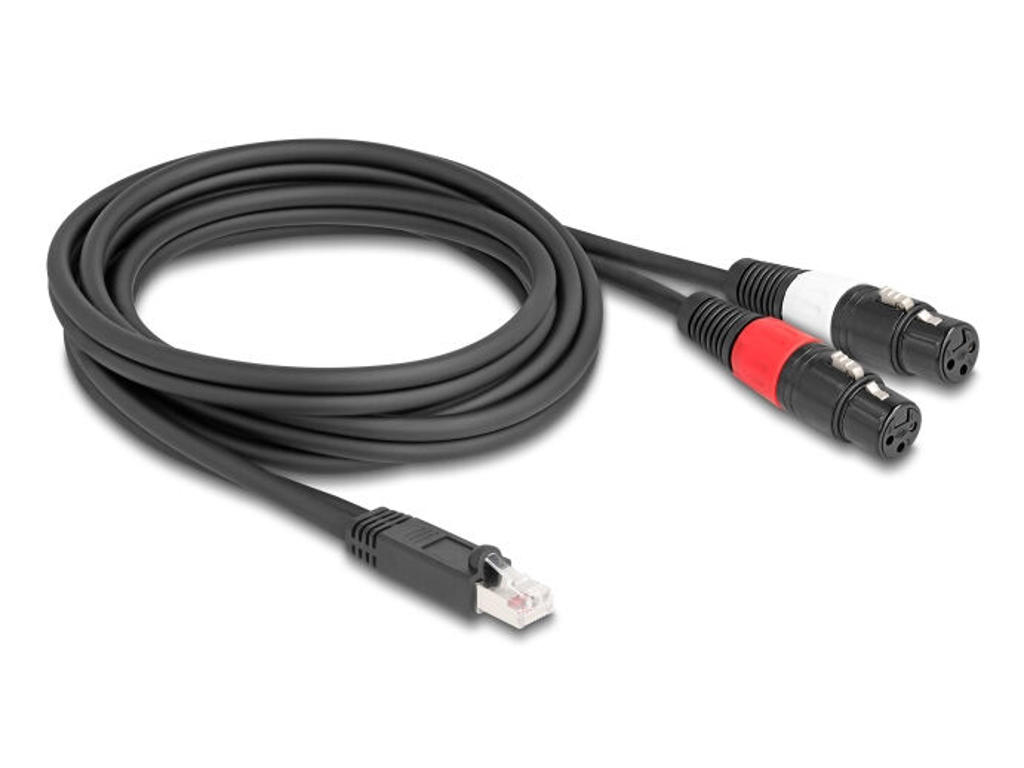 DeLOCK 88176 lydkabel 2 m RJ-45 2 x XLR (3-pin) Sort