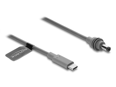 DeLOCK 91820 el-ledning Grå 2 m USB C DC 5.5mm