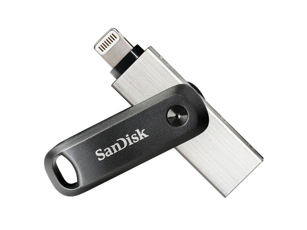 SanDisk SDIX60N-256G-GN6NE USB-nøgle 256 GB 3.2 Gen 1 (3.1 Gen 1) Grå, Sølv
