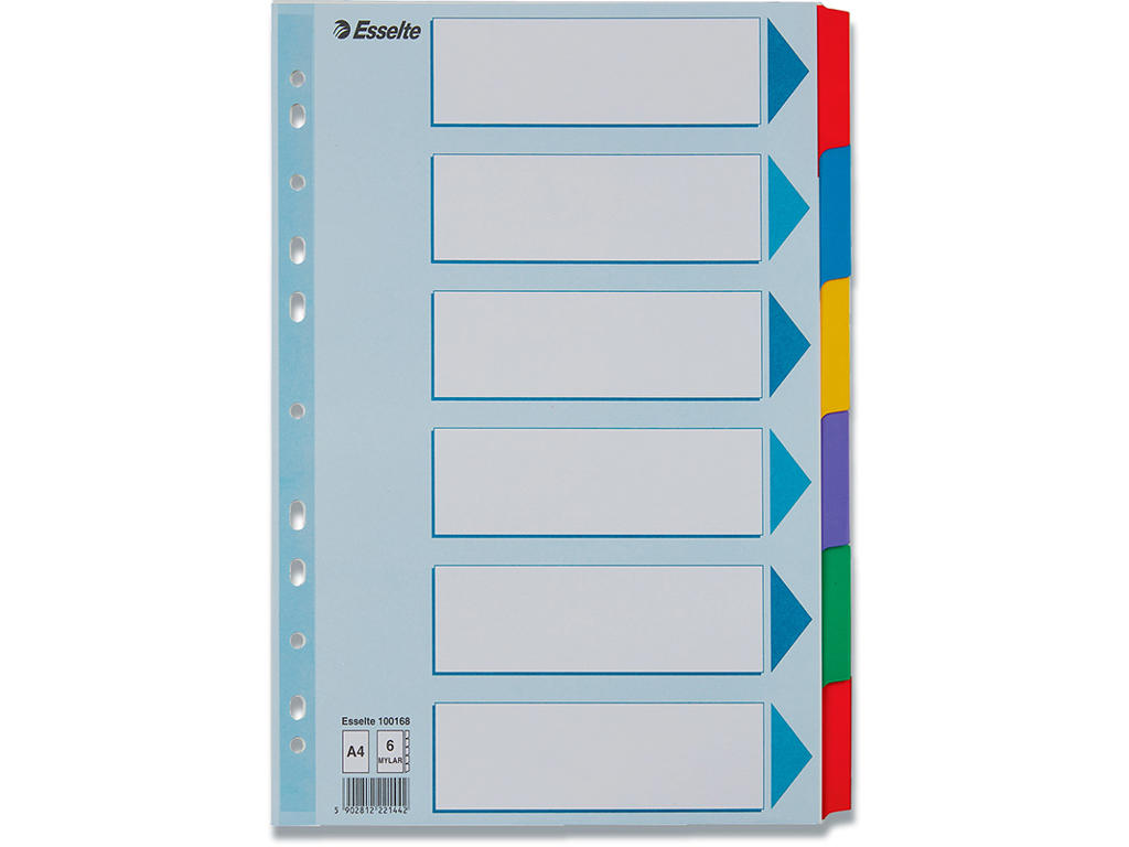 Faneblade, A4, 6-delt, Flerfarvet, Esselte Mylar 