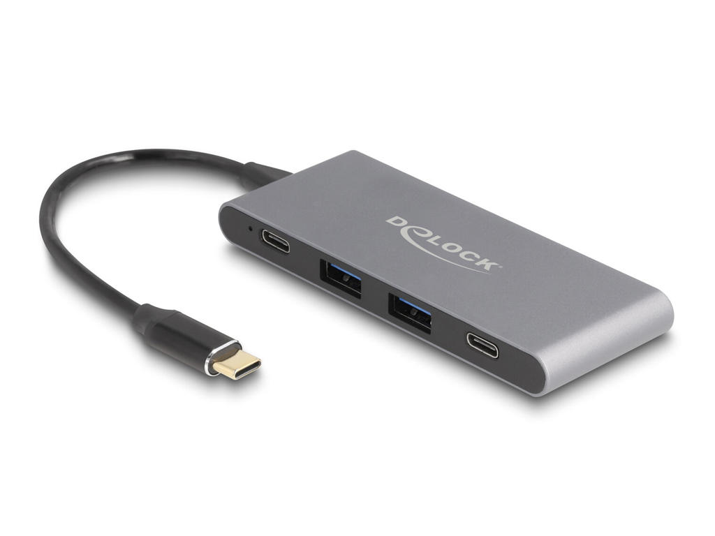 DeLOCK 64111 interface hub USB 3.2 Gen 2 (3.1 Gen 2) Type-C 10000 Mbit/s Grå