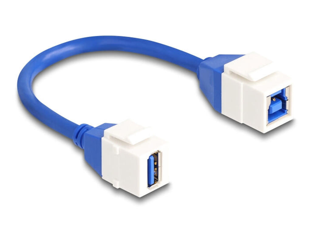 DeLOCK 86970 USB-kabel USB 3.2 Gen 1 (3.1 Gen 1) 0,2 m USB A USB B Blå, Hvid