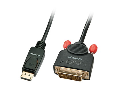 Lindy 41489 videokabel adapter 0,5 m DisplayPort DVI-D Sort