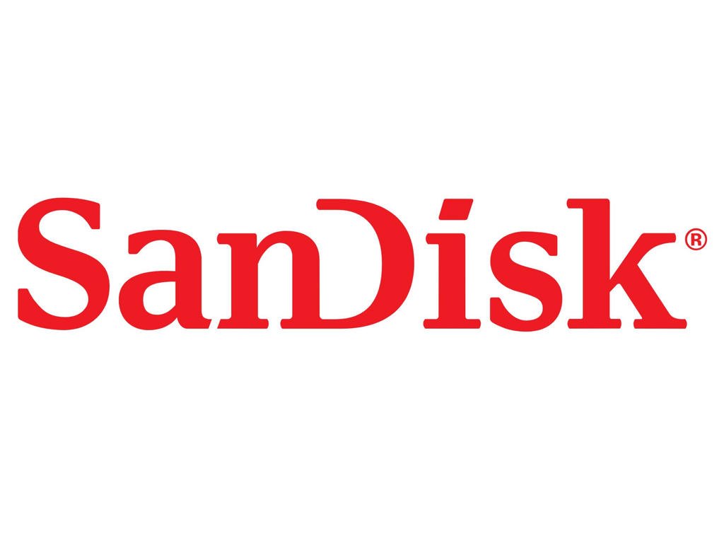 SanDisk Ultra Luxe USB-nøgle 1 TB USB Type-C 3.2 Gen 1 (3.1 Gen 1) Rustfrit stål
