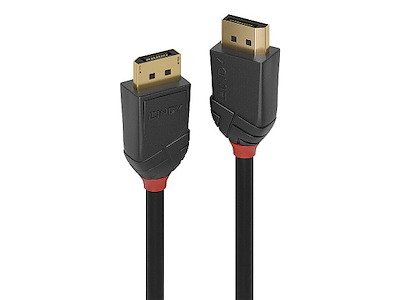 Lindy 36517 DisplayPort kabel 2 m Sort