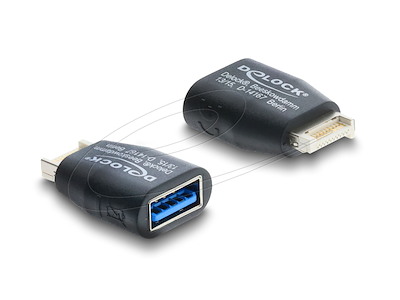 DeLOCK 67340 kabel kønsskifter Type-E Type-A Sort