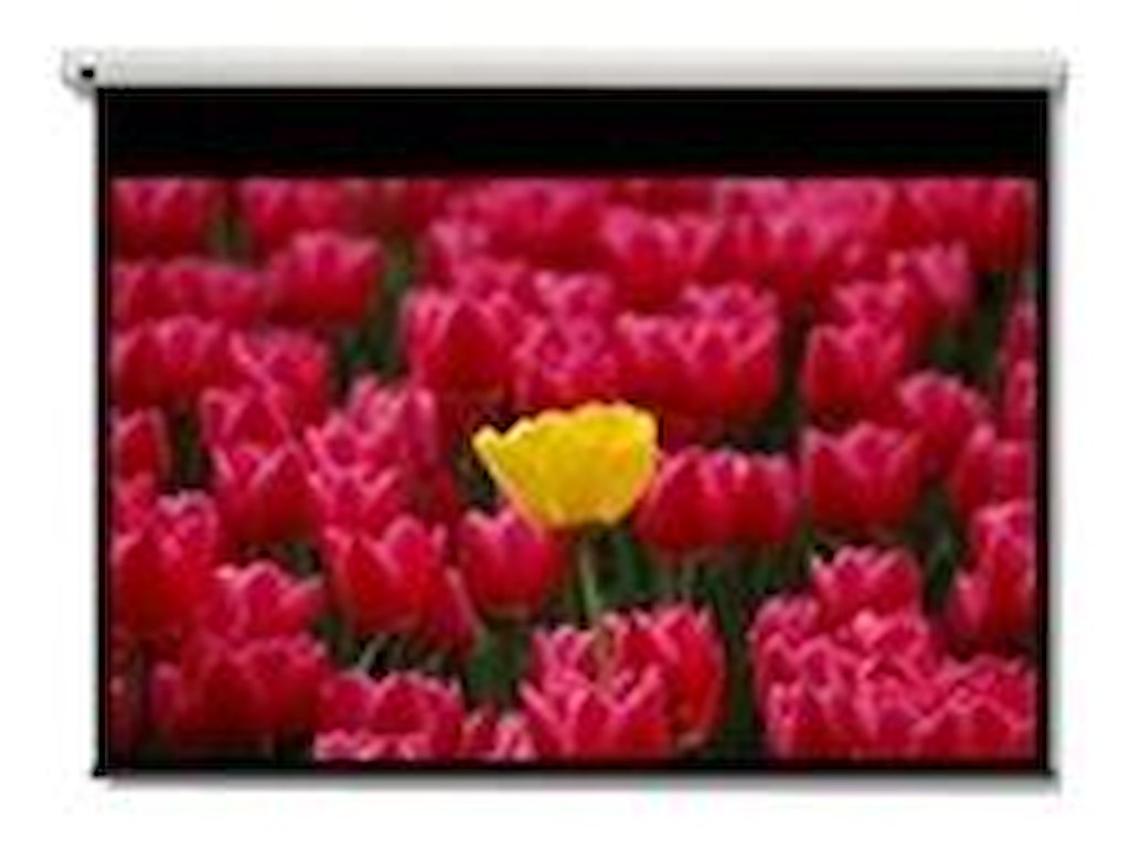 Optoma Pantalla 16:9 2656 x 1494mm projektorlærred 3,05 m (120")