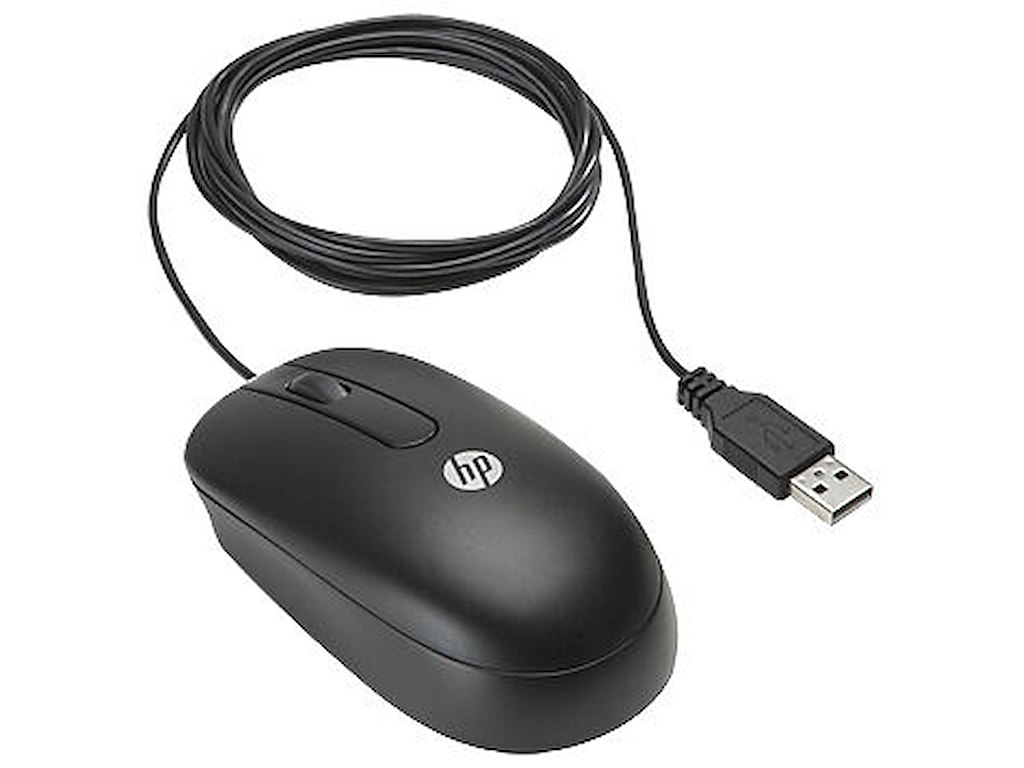 HP USB Optical Scroll Mouse mus Kontor Ambidextrous USB Type-A Optisk 800 dpi