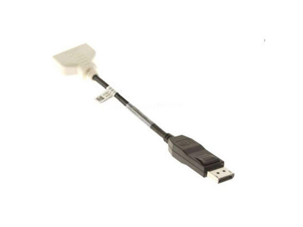 HP 662723-001 videokabel adapter DisplayPort DVI-D Sort