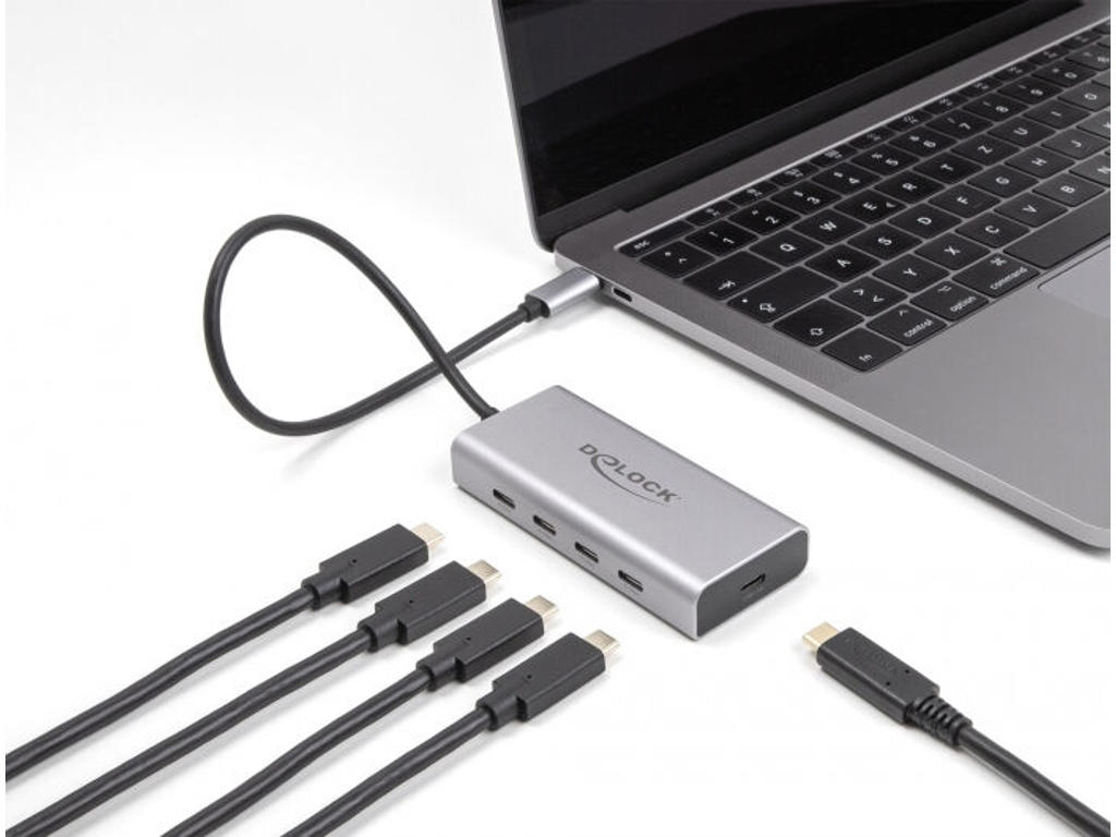 DeLOCK 64235 interface hub USB Type-C 10000 Mbit/s Grå