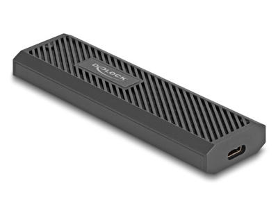 DeLOCK 42031 drevkabinet SSD kabinet Sort M.2