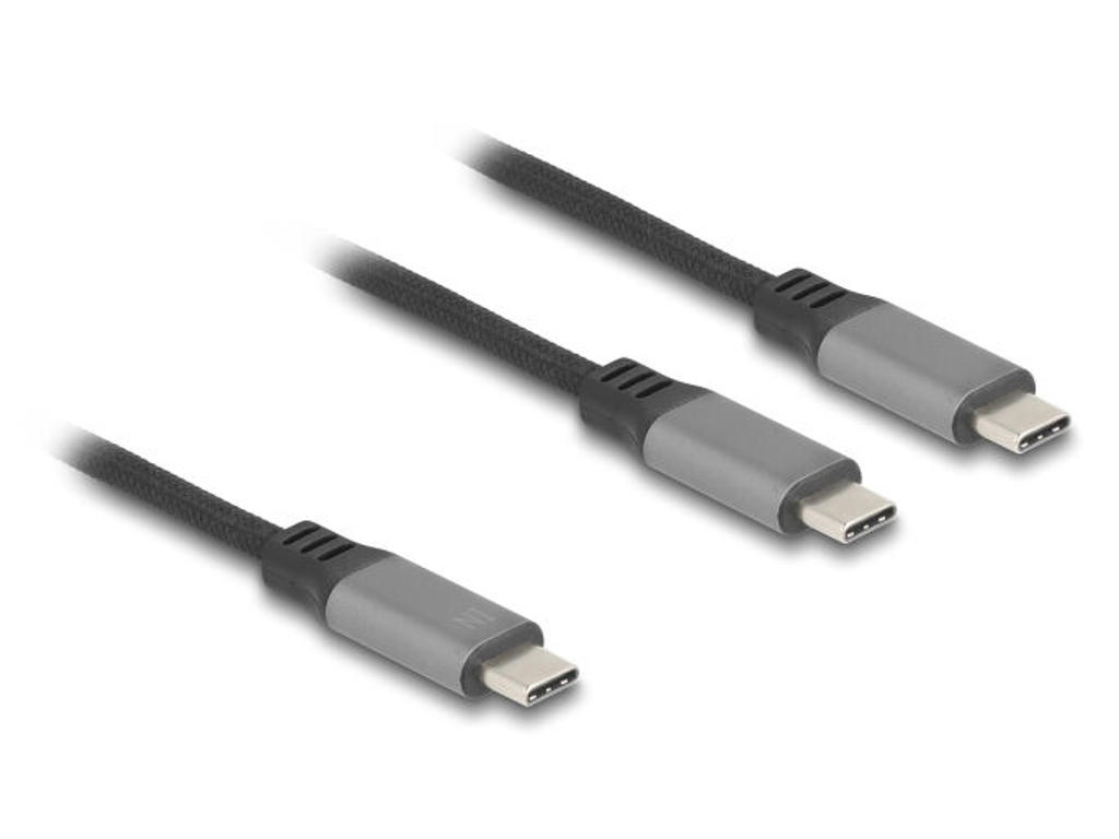 DeLOCK 81271 USB-kabel 1,2 m USB C 2 x USB C Sort, Grå