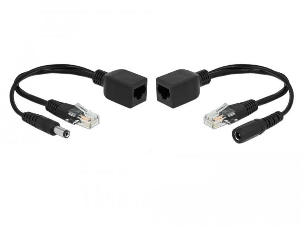 DeLOCK 66024 PoE adapter Hurtigt ethernet
