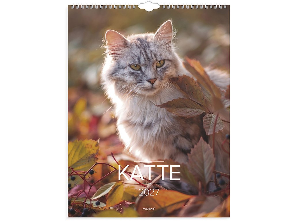 Vægkalender, 2027, Katte, 1 måned pr. opslag, Mayland