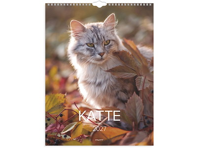 Vægkalender, 2027, Katte, 1 måned pr. opslag, Mayland